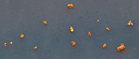 Il pescato di Alessandra e Alessandro