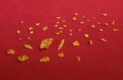 oro_vario_sfondo_rosso_2_240