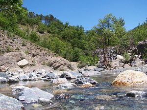 rio_roverno_scorci_(1)